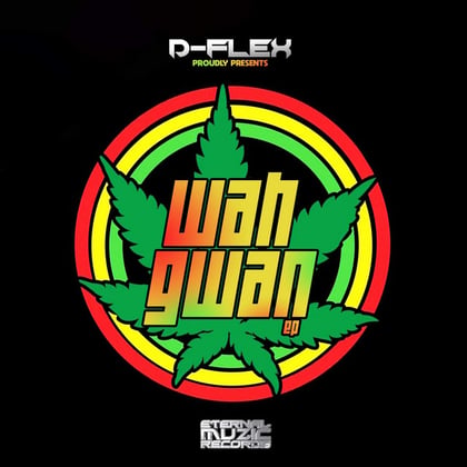 Wah Gwarn album by D-Flex - Drum and Bass Cover Art