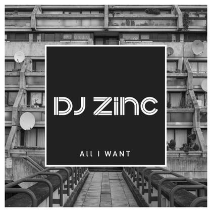 All I Want album by DJ Zinc - Drum and Bass Cover Art