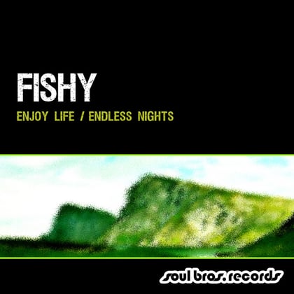 Enjoy Life / Endless Nights album by Marvel Cinema & Fishy - Drum and Bass Cover Art
