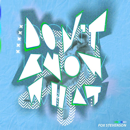 Don't Know What album by Fox Stevenson - Drum and Bass Cover Art