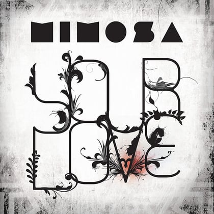 Your Love album by MiM0SA - Drum and Bass Cover Art