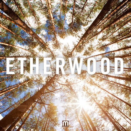 Etherwood album by Etherwood - Drum and Bass Cover Art