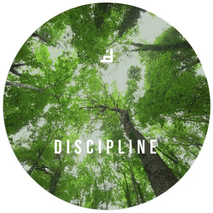 DISCIPLINE003 album by Antagonist - Drum and Bass Cover Art