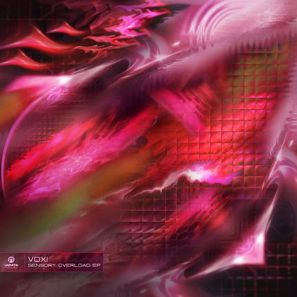 Sensory Overload album by Leks - Drum and Bass Cover Art
