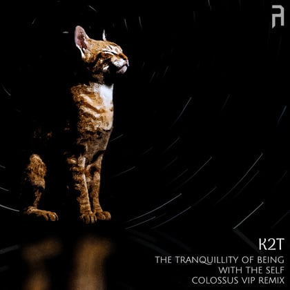 The Tranquillity of Being With The Self (Colossus VIP Remix) album by K2T - Drum and Bass Cover Art