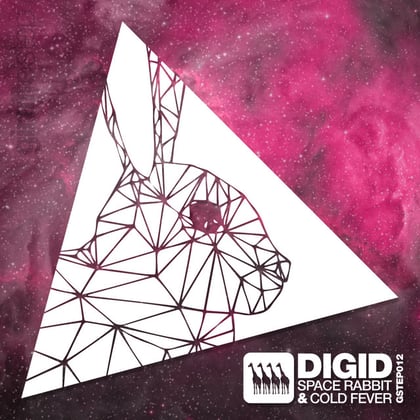 Space Rabbit / Cold Fever album by Digid - Drum and Bass Cover Art