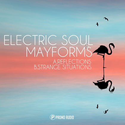Reflections / Strange Situations album by Electric Soul & Mayforms - Drum and Bass Cover Art