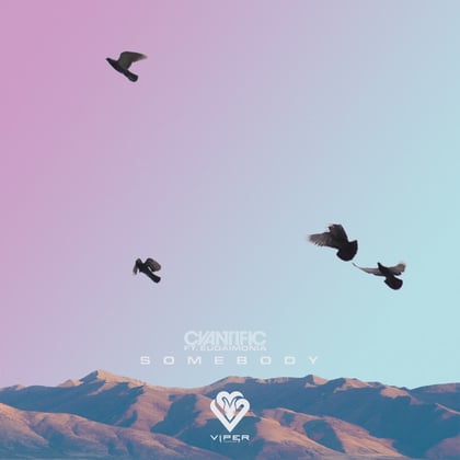Somebody album by Cyantific - Drum and Bass Cover Art