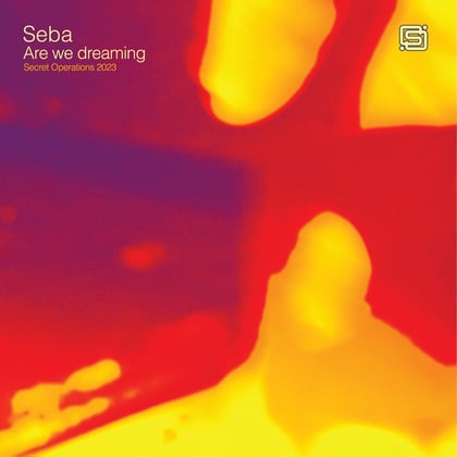 Are we dreaming album by Seba - Drum and Bass Cover Art