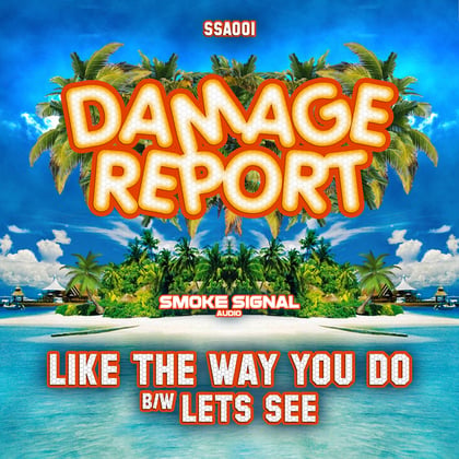 Like The Way You Do / Lets See album by Damage Report - Drum and Bass Cover Art