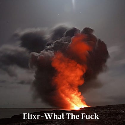 What The Fuck album by Elixr & Toddlah - Drum and Bass Cover Art