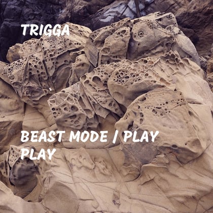 Beast Mode / Play Play album by Trigga - Drum and Bass Cover Art