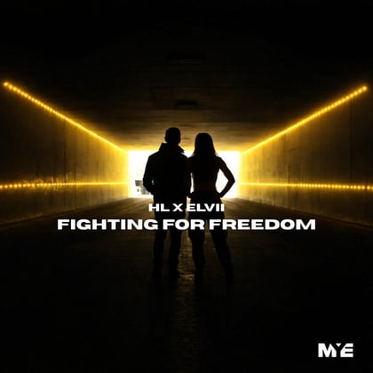 Fighting For Freedom album by HL & Elvii - Drum and Bass Cover Art