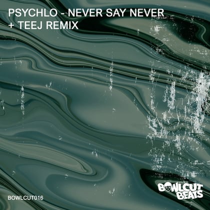 Never Say Never album by Teej - Drum and Bass Cover Art