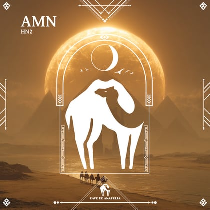 Amn album by Tengu, HN2 & Cafe De Anatolia - Drum and Bass Cover Art