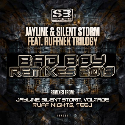Bad Boy Remixes 2019 album by Jayline - Drum and Bass Cover Art
