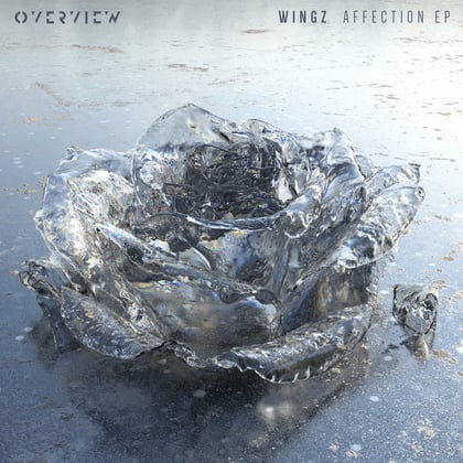 Affection EP album by Wingz - Drum and Bass Cover Art