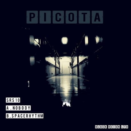 Nobody / Space Rhythm album by Picota - Drum and Bass Cover Art