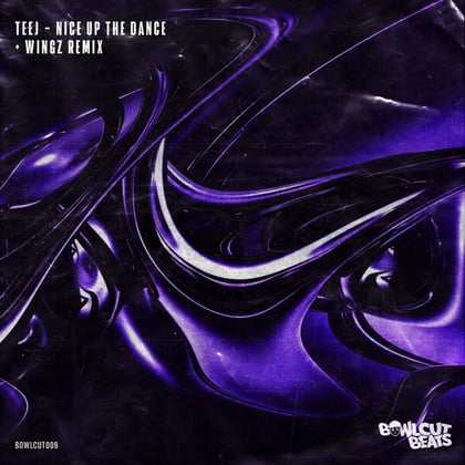 Nice Up The Dance album by Teej & Wingz - Drum and Bass Cover Art