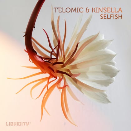 Selfish album by Telomic - Drum and Bass Cover Art