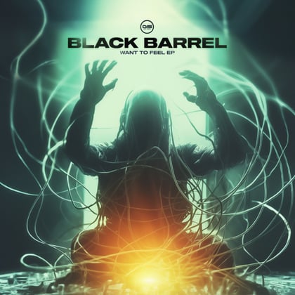 Want To Feel EP album by Black Barrel - Drum and Bass Cover Art