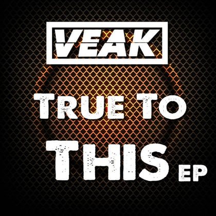True To This EP album by Salaryman & Veak - Drum and Bass Cover Art
