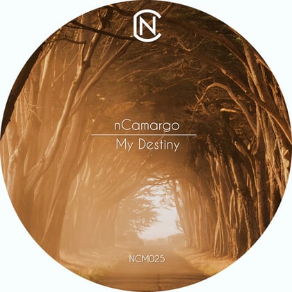 My Destiny album by nCamargo - Drum and Bass Cover Art