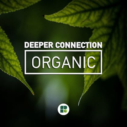 Organic album by Deeper Connection - Drum and Bass Cover Art
