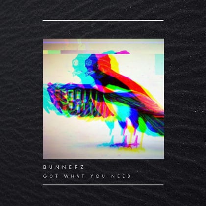 Got What You Need album by Bunnerz - Drum and Bass Cover Art