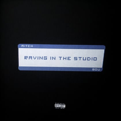 Raving In The Studio (Instrumental / Radio Edit) album by Bou - Drum and Bass Cover Art