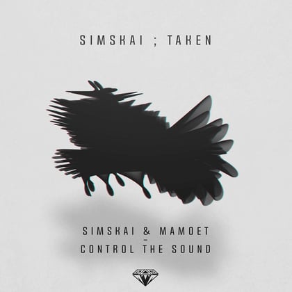 Taken / Control The Sound album by Simskai - Drum and Bass Cover Art