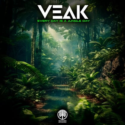 Every Day Is A Jungle Day album by Salaryman & Veak - Drum and Bass Cover Art