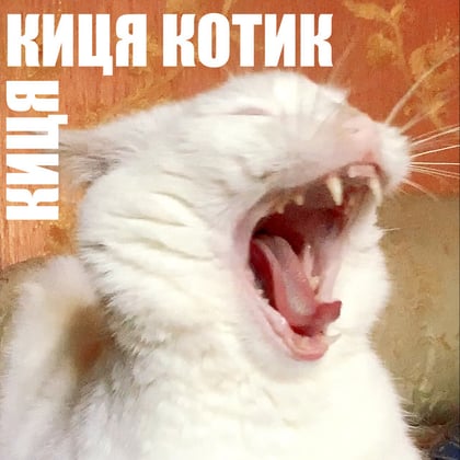 КИЦЯ КИЦЯ КОТИК album by VovKING - Drum and Bass Cover Art