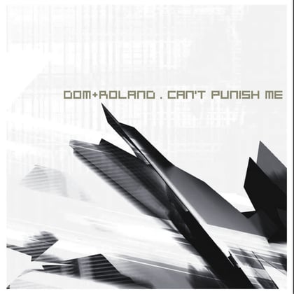 Can't Punish Me / Sky Spirits album by Dom & Roland - Drum and Bass Cover Art