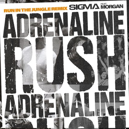 Adrenaline Rush (Run In The Jungle Remix) album by Sigma - Drum and Bass Cover Art