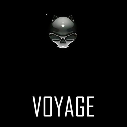 VOYAGE album by Voyage - Drum and Bass Cover Art