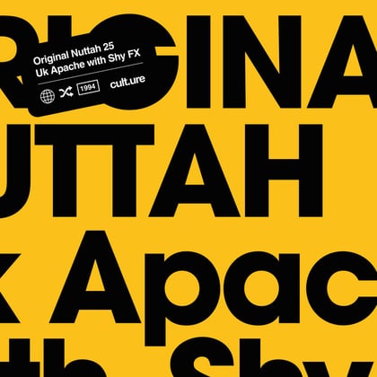 Original Nuttah 25 album by Uk Apache, SHY FX & Chase & Status - Drum and Bass Cover Art
