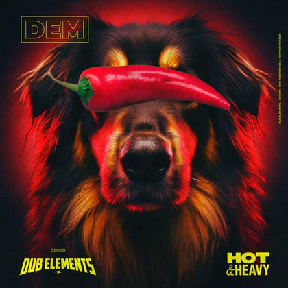 Hot & Heavy album by Dub Elements - Drum and Bass Cover Art