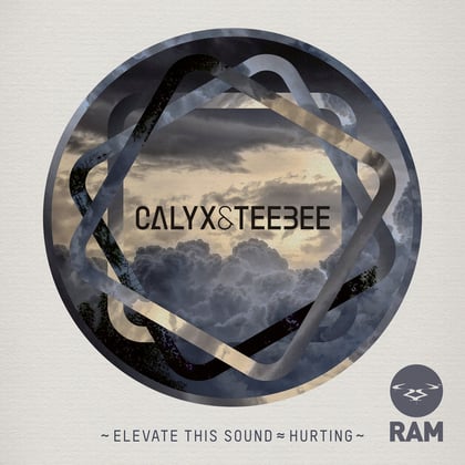 Elevate This Sound / Hurting album by Calyx, Teebee & Calyx & TeeBee - Drum and Bass Cover Art