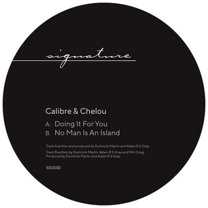Doing It For You / No Man Is An Island album by Calibre - Drum and Bass Cover Art