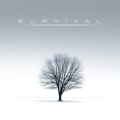 Survival album by Survival - Drum and Bass Cover Art