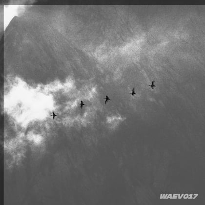 WAEV017 album by Fearful - Drum and Bass Cover Art
