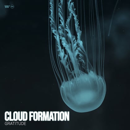 Gratitude album by Cloud Formation - Drum and Bass Cover Art