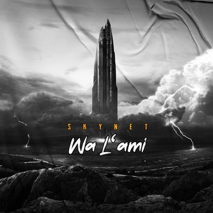 Wa L'ami album by Skynet - Drum and Bass Cover Art