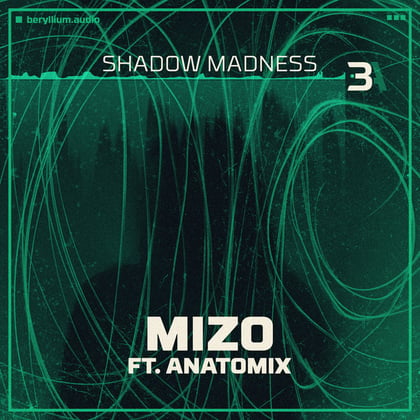 Shadow Madness album by AnatomiX - Drum and Bass Cover Art
