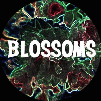 You Pulled a Gun on Me album by Chase & Status & Blossoms - Drum and Bass Cover Art