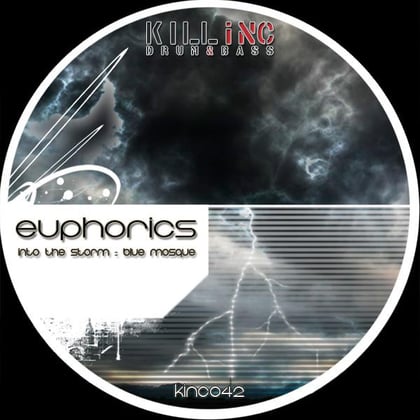 Into The Storm album by Euphorics - Drum and Bass Cover Art