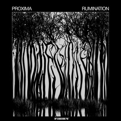 Rumination album by Proxima - Drum and Bass Cover Art