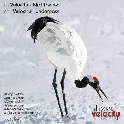 Bird Theme / Underpass album by Velocity - Drum and Bass Cover Art