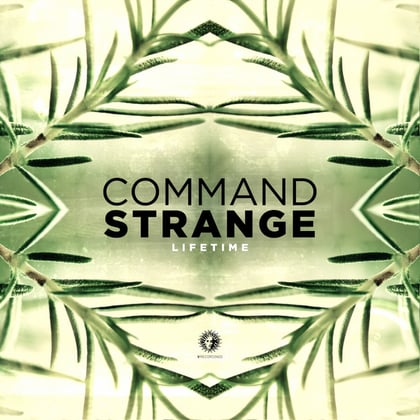 Lifetime album by Command Strange - Drum and Bass Cover Art